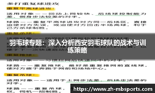 羽毛球专题:深入分析西安羽毛球队的战术与训练策略